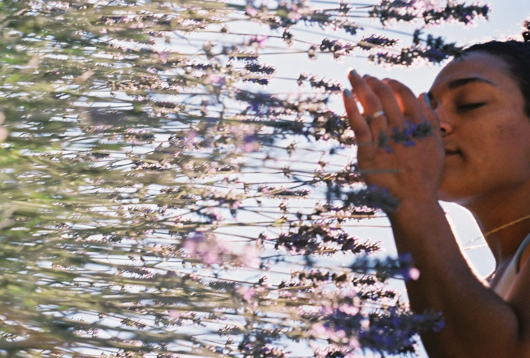 a person holds their hands near their face with flowering lavender in the foreground, shot through the blossoms.